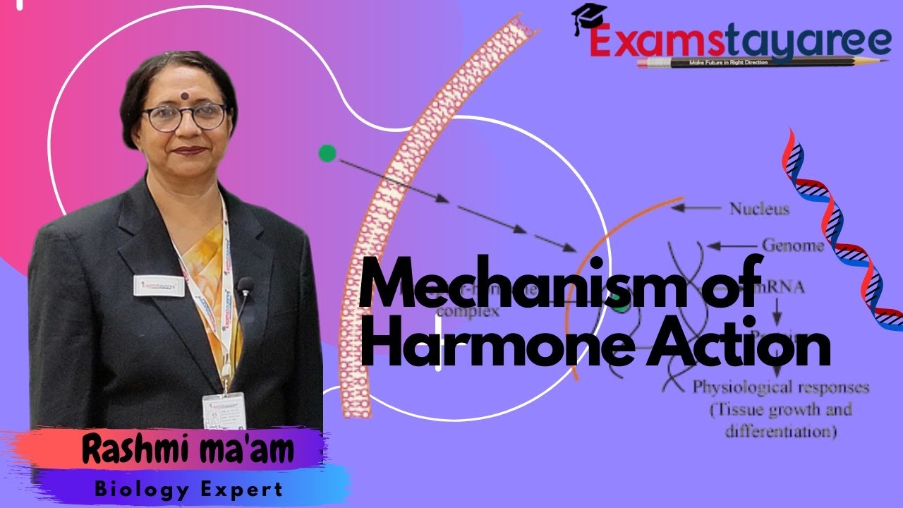 Mechanisms of Hormone action | Types of Hormones | Hormone Mechanism of action | Examstayaree