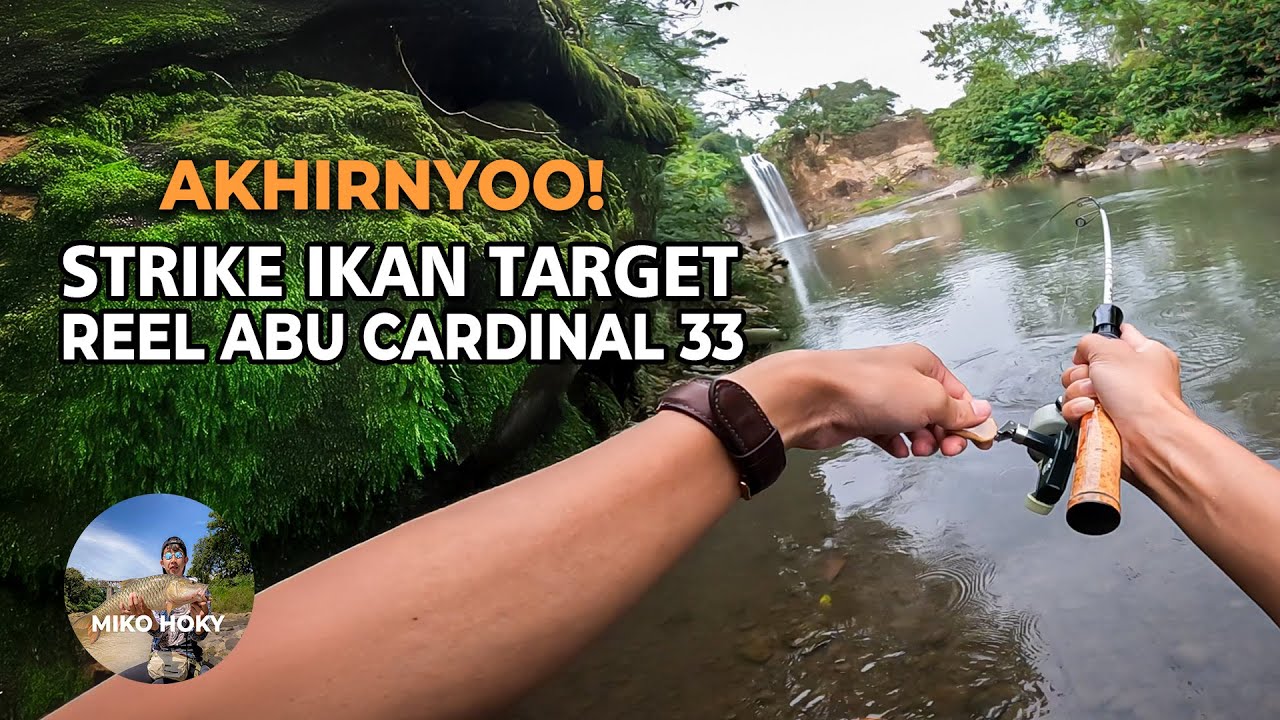 Akhirnya Amis Ikan TARGET! Reel Abu Cardinal 33 Spot Casting Hampala Temanggung