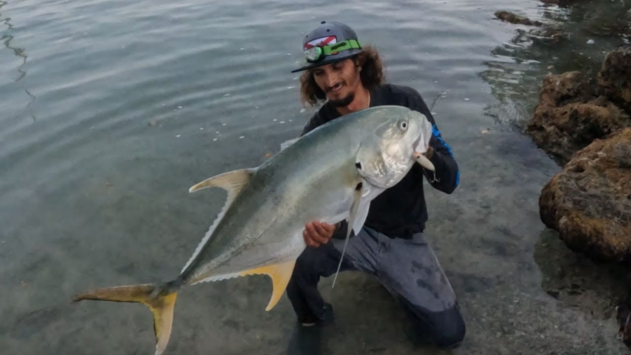 World Record Jack Crevalle Trailer