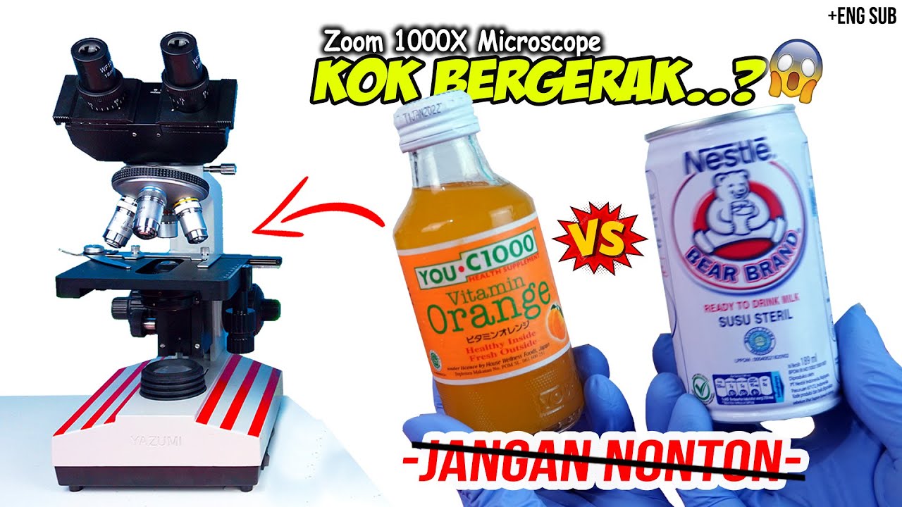 YOU C-1000 vs SUSU BERUANG | Bear Brand Milk vs Vitamin C in Microscope Zoom 1000X