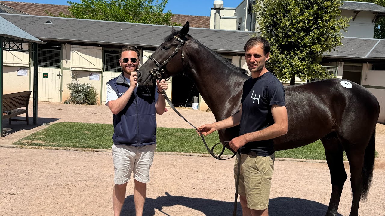 Buying a racehorse in France