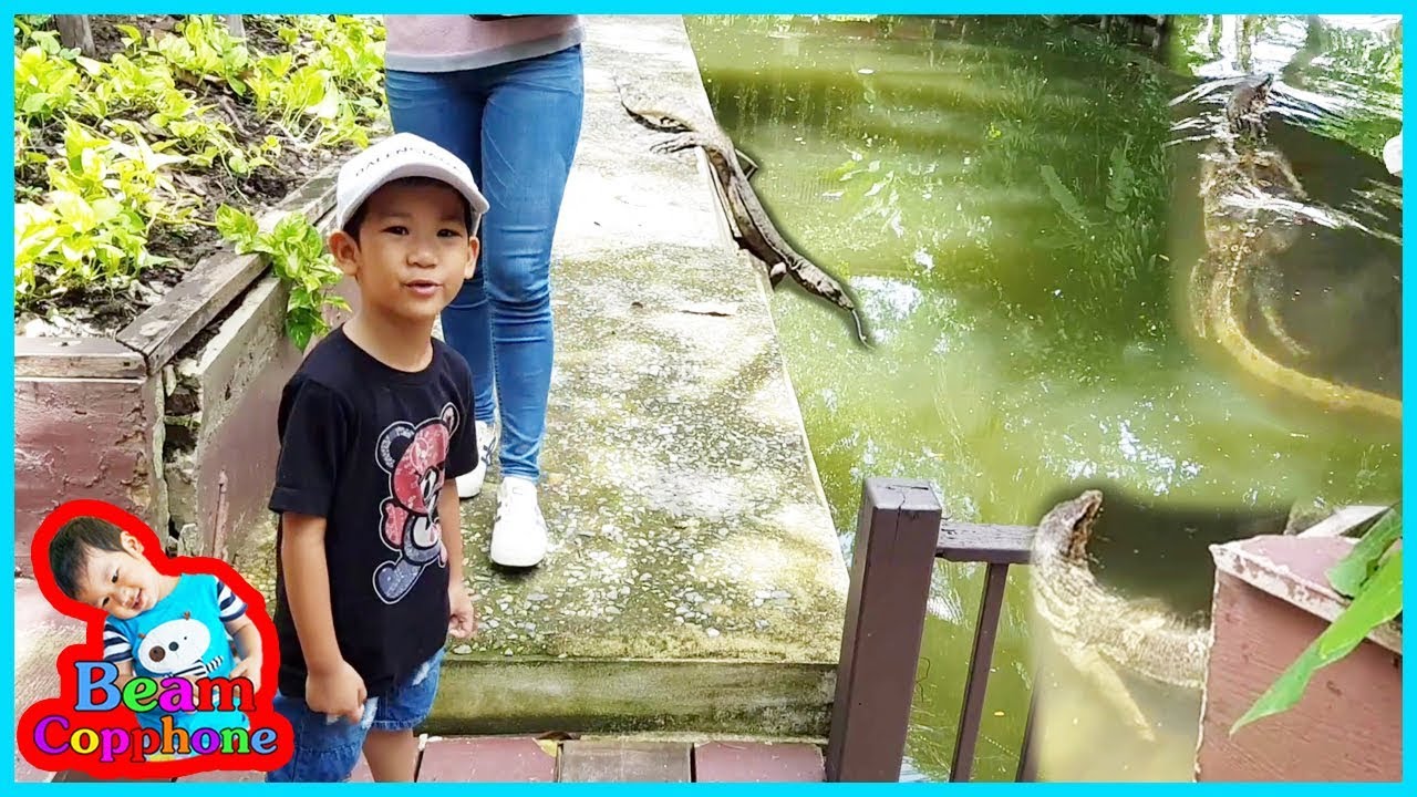 น้องบีม | มังกรอาบแดด เที่ยวนครปฐม สวนสามพราน