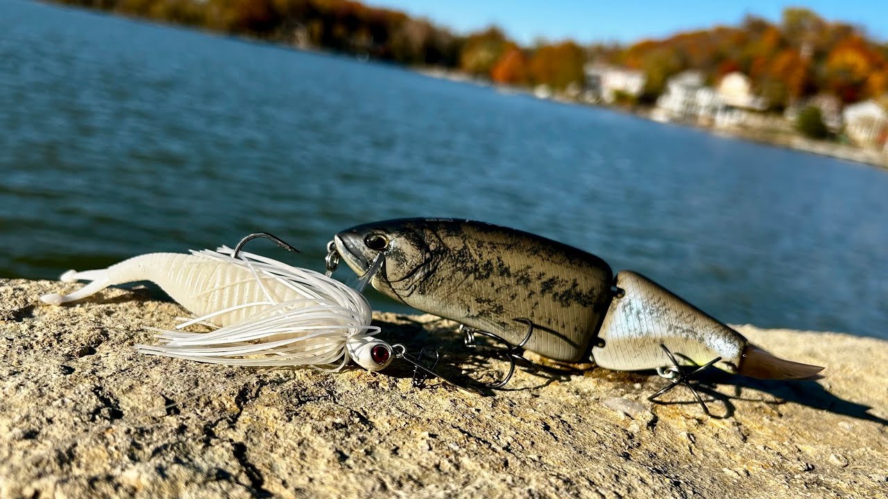 Fall Bass Fishing! Chatterbaits And DRT Tiny Klash 