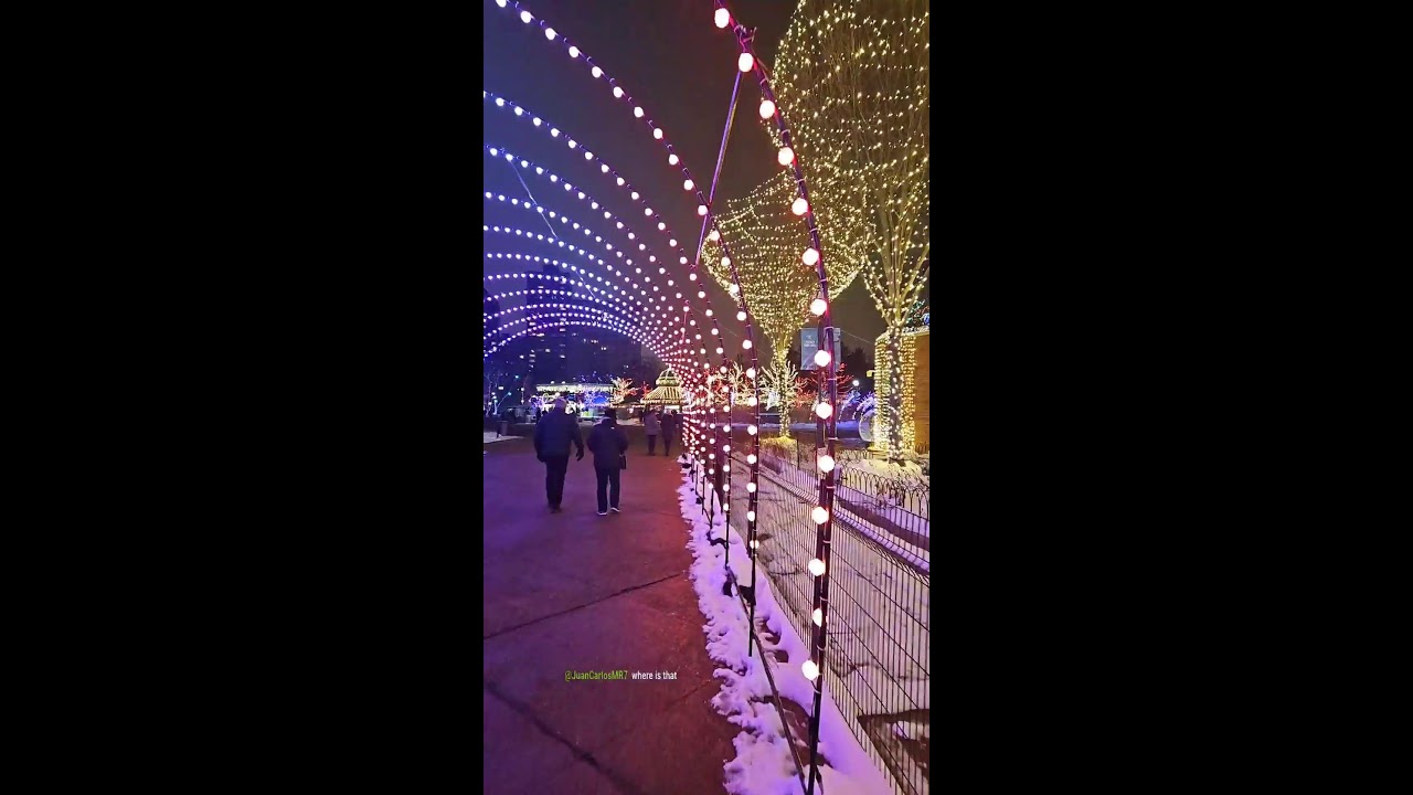 Chicago Lincoln Park Zoo Lights December 2, 2025