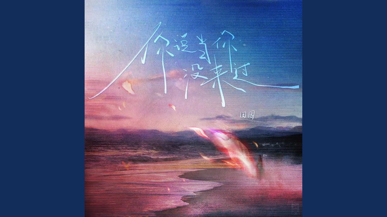 你说当你没来过 (DJ默涵版)