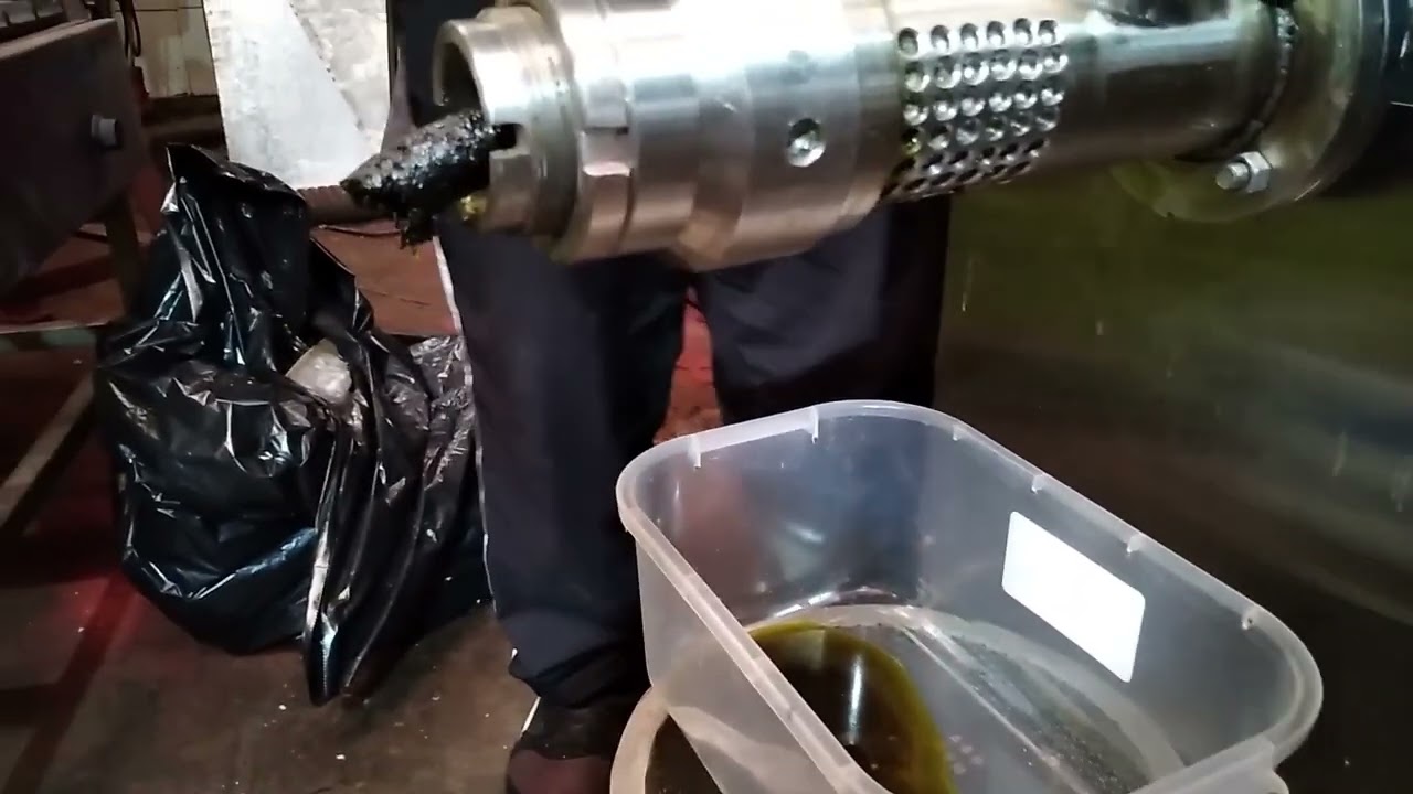 Extractor Aceite de Palta Hass (Prensado en Frío) Semi Industrial