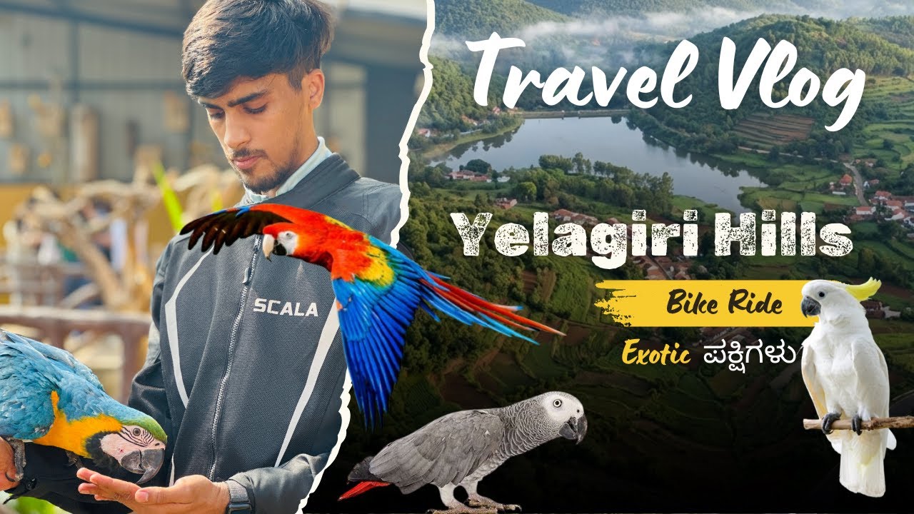 Exotic ಪಕ್ಷಿಗಳು 🕊️| Yelagiri Hills | Bike Ride | Travel Vlog | Mr GD