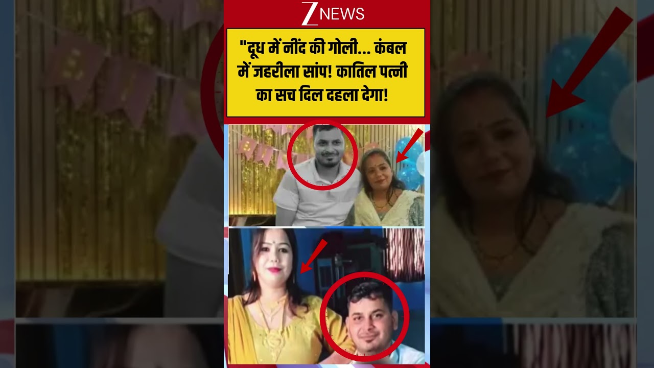 Meerut Murder Case: 