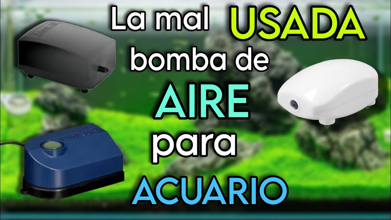 BOMBA DE AIRE PARA ACUARIO | Como SI usarla en tu acuario