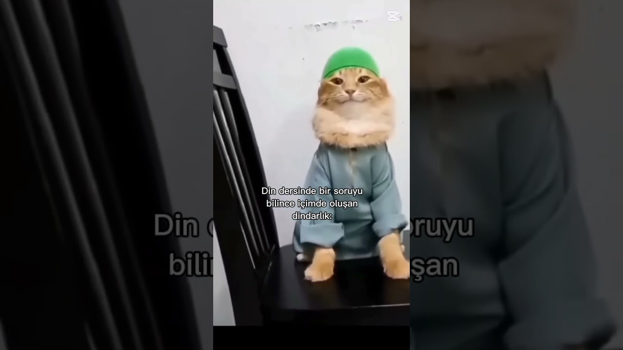Bizim max din