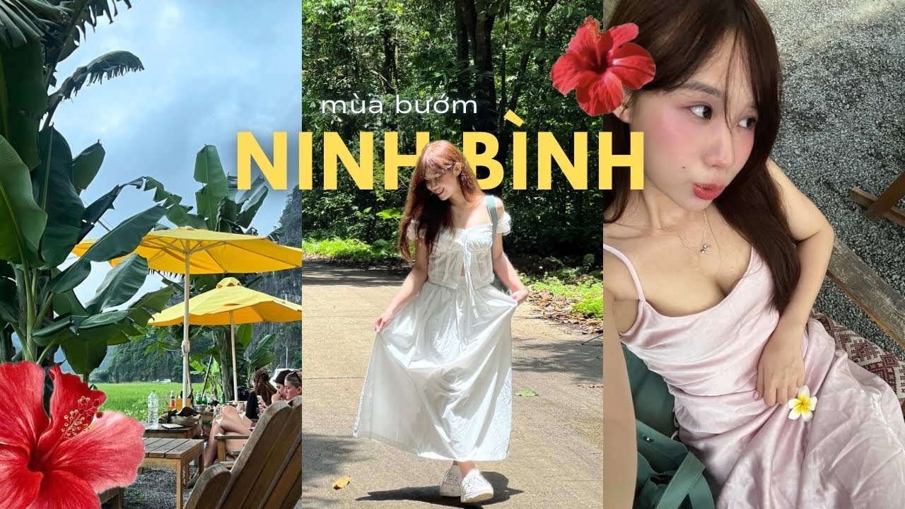 Mùa bướm Cúc Phương đẹp như mơ 🦋 Ninh Bình vlog