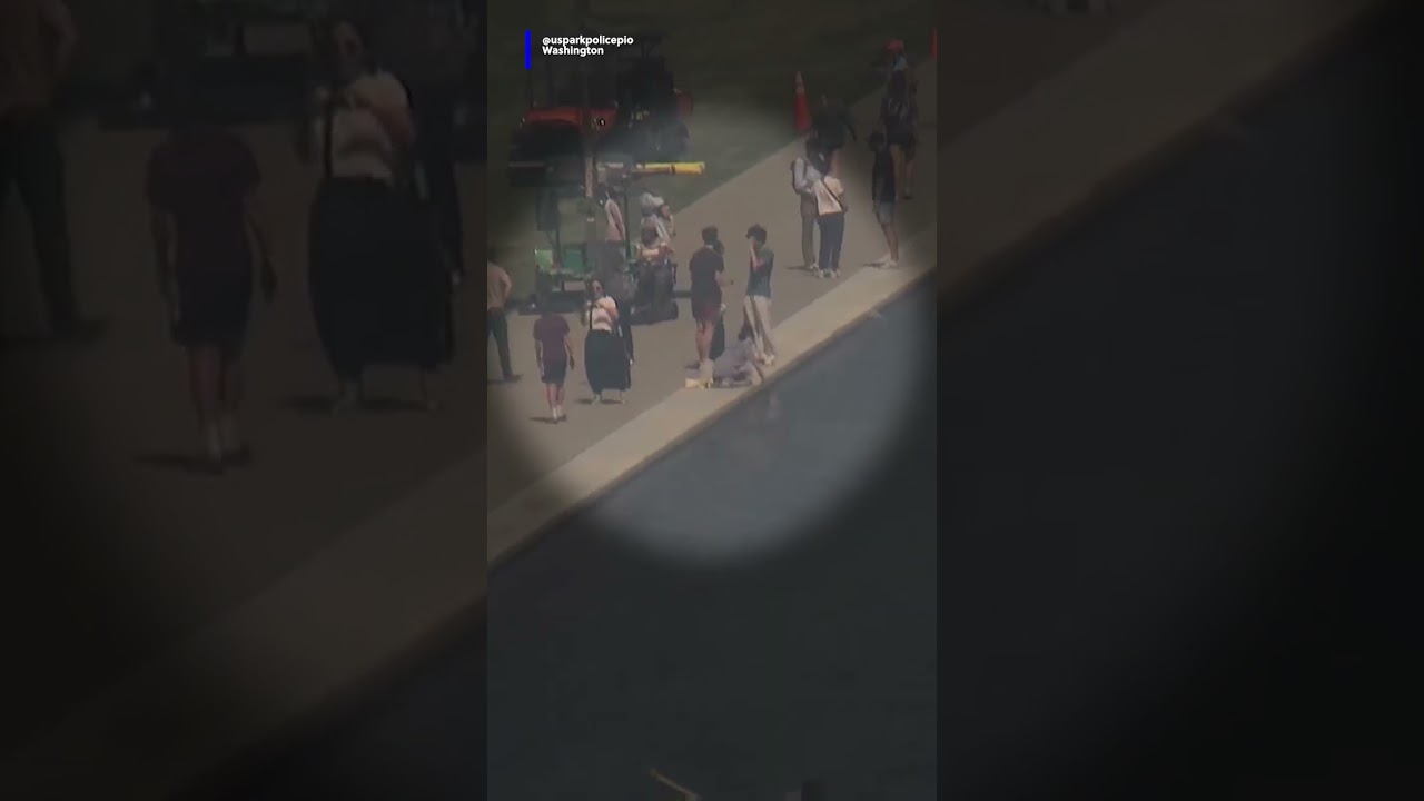New video shows person near Lincoln Memorial Reflecting Pool