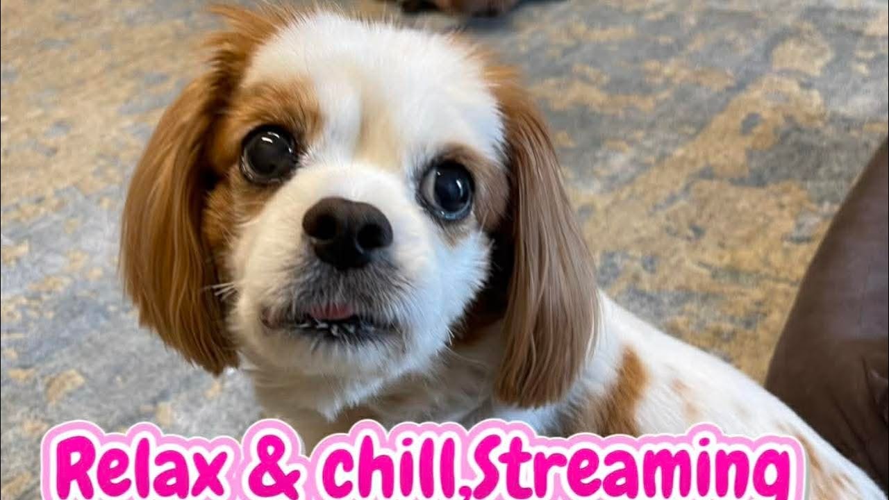 relax live with me 😎😊