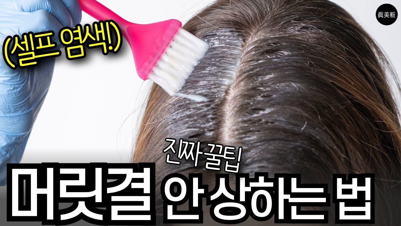 20년 경력 미용실 원장이 알려주는 셀프염색 머릿결 손상 줄이는 방법  진짜 헤어꿀팁 (새치염색,뿌리염색)