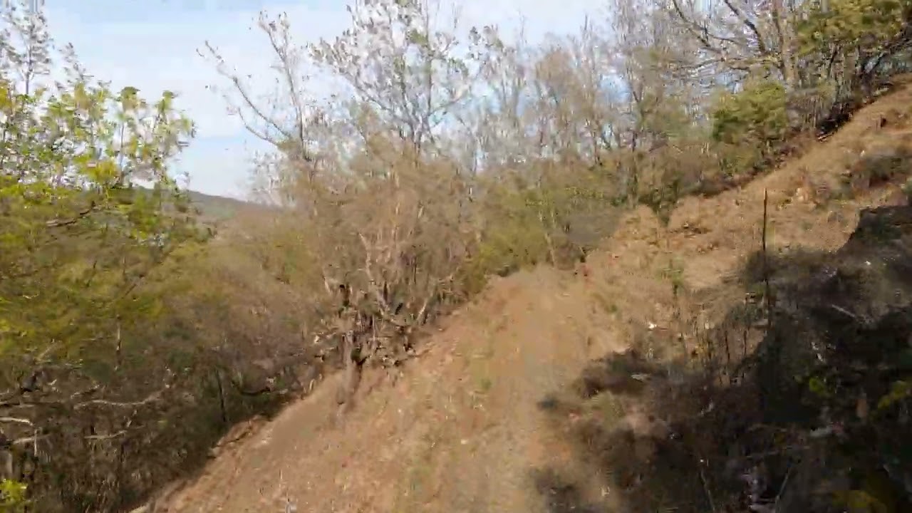 nuovo covid trail sul monte armelio nella perino bike area