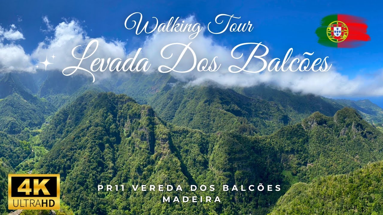 Madeira Island's PR11 Will Be Your New Favourite Destination - Levada dos Balc&otilde;es - 4K Walking Tour🥾
