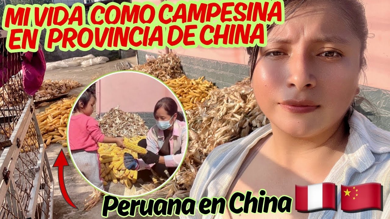 La vida COMO CAMPESINA en la Provincia de China: Abundancia de alimentos
