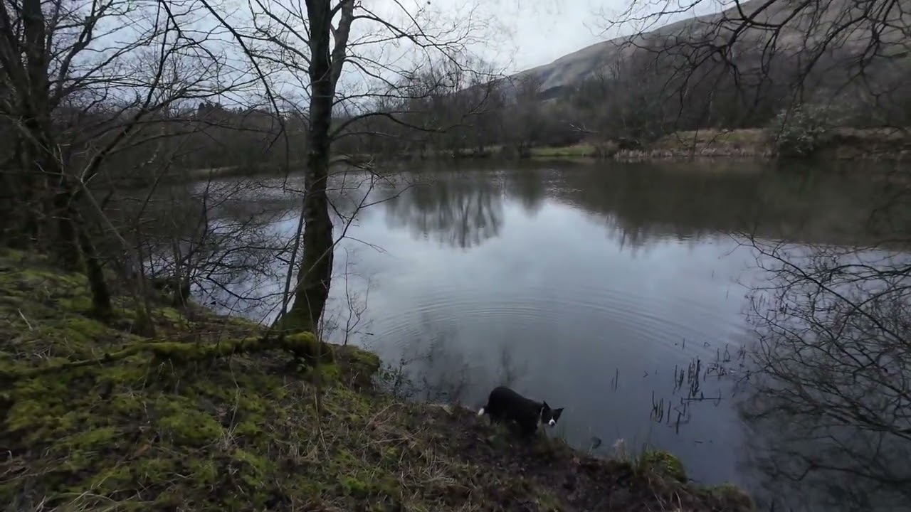 The Dams Above Milton of Campsie