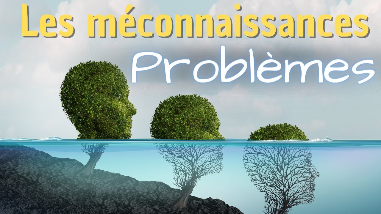 LES M&Eacute;CONNAISSANCES N&deg;2 - LES PROBL&Egrave;MES