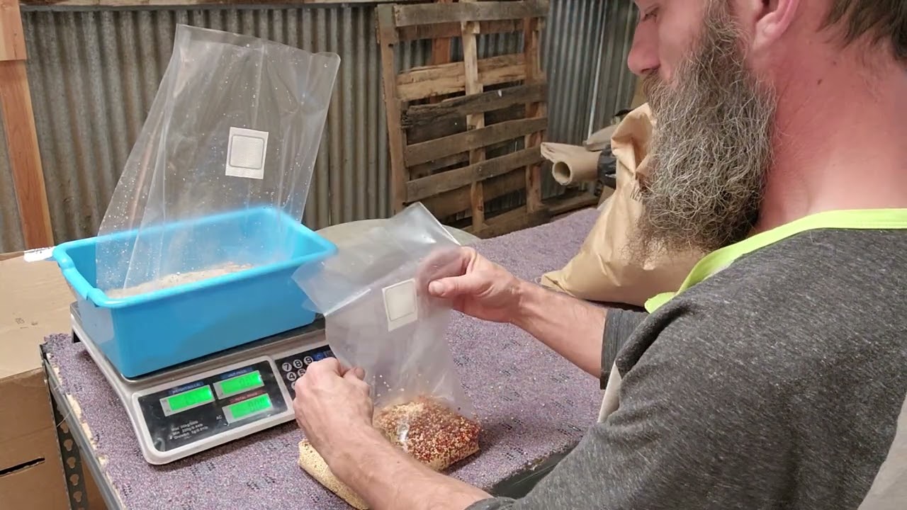 Grain Spawn Tek- 50/50 Millet / Milo: Easy, no soak, high yield bag tek for mushroom production.