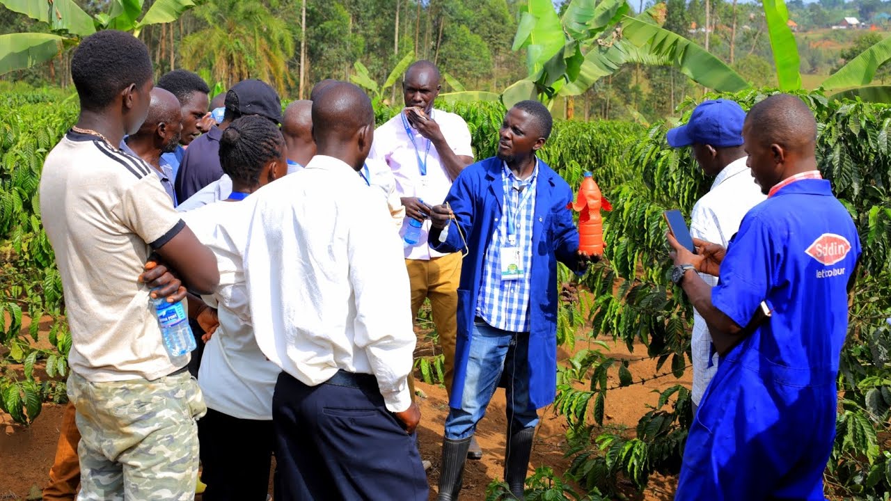 Omusomo gwe Mwaanyi ku K-Green Mixed Farm. Part 1 ( Emmwanyi Terimba)