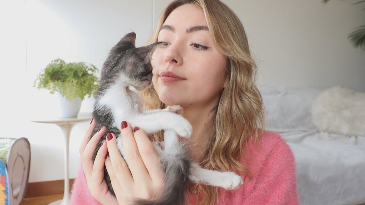ADOPTE UNA GATITA BEBÉ ♥︎ Y cómo superé la perdida de Lumi 😔