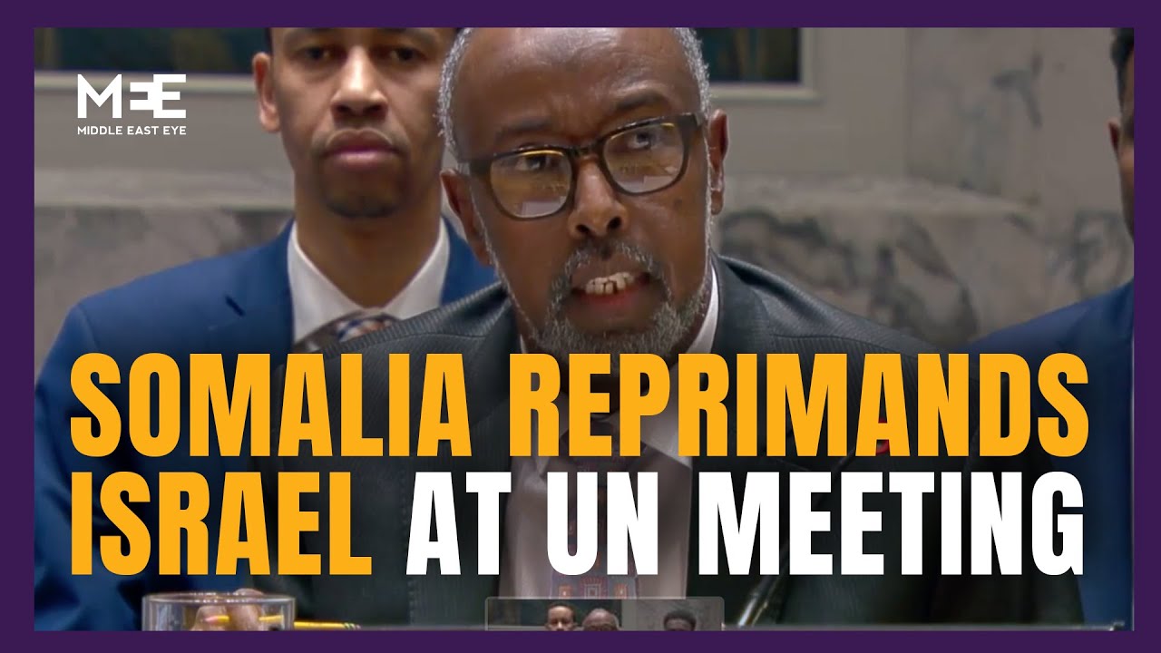Somalia&rsquo;s UN representative says Israel&rsquo;s genocide statements &lsquo;outrageous&rsquo;