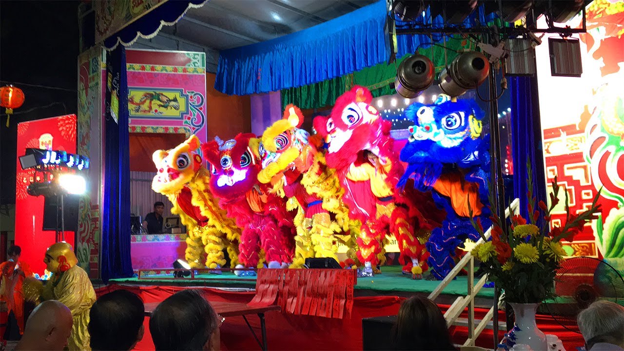 Best 4 Lion dance 2025 by Minh Hao | Hai Nam pagoda | Lunar New Year festival night