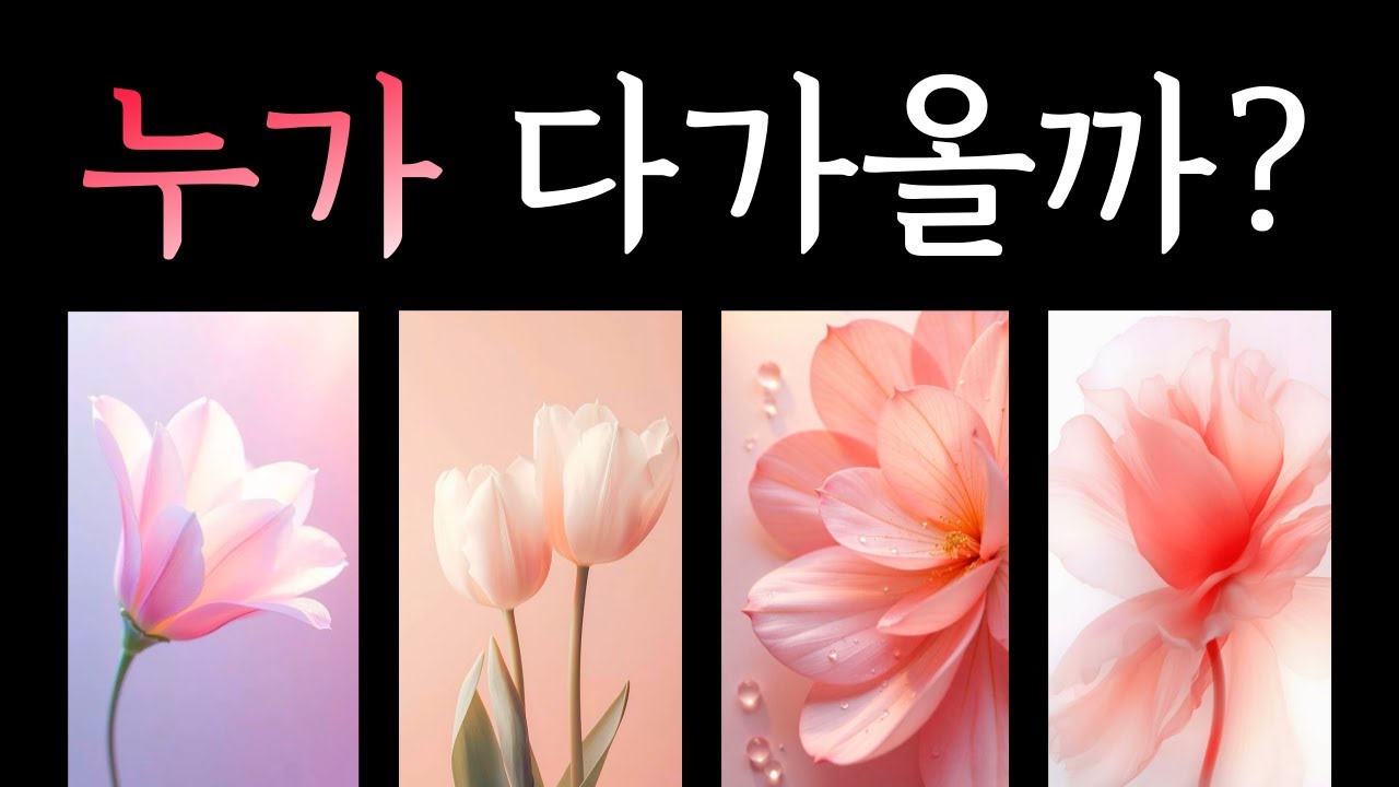 [타로] 곧 나 좋다고 다가올 사람 💗