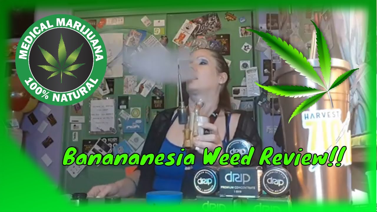 Banananesia Weed Review  @DripOils And @Harvest Dispensary