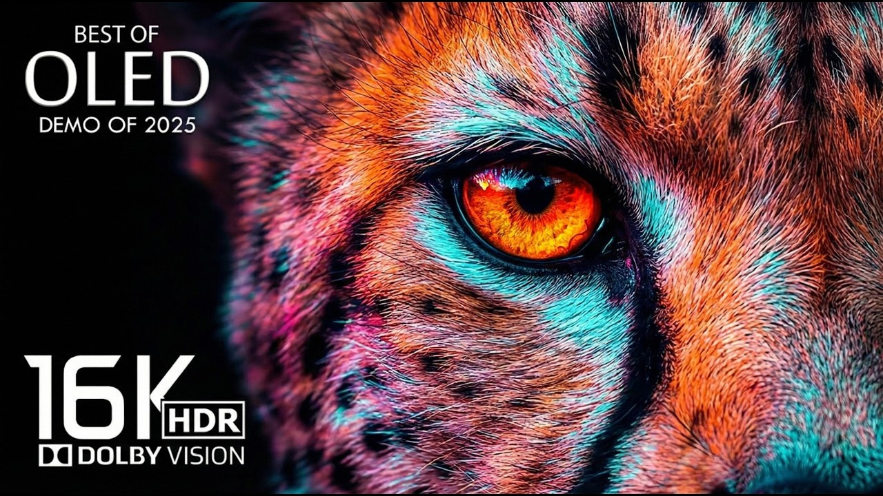 Immersive Animal World | 4K HDR Ultra HD Dolby Vision 60fps for OLED TV Experience