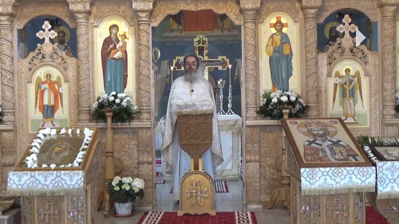 Pr. Dan Popovici – De la moarte la viață
