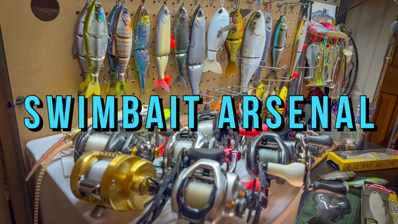 MY HUGE SWIMBAIT ARSENAL 2024 - RODS REELS AND BAITS