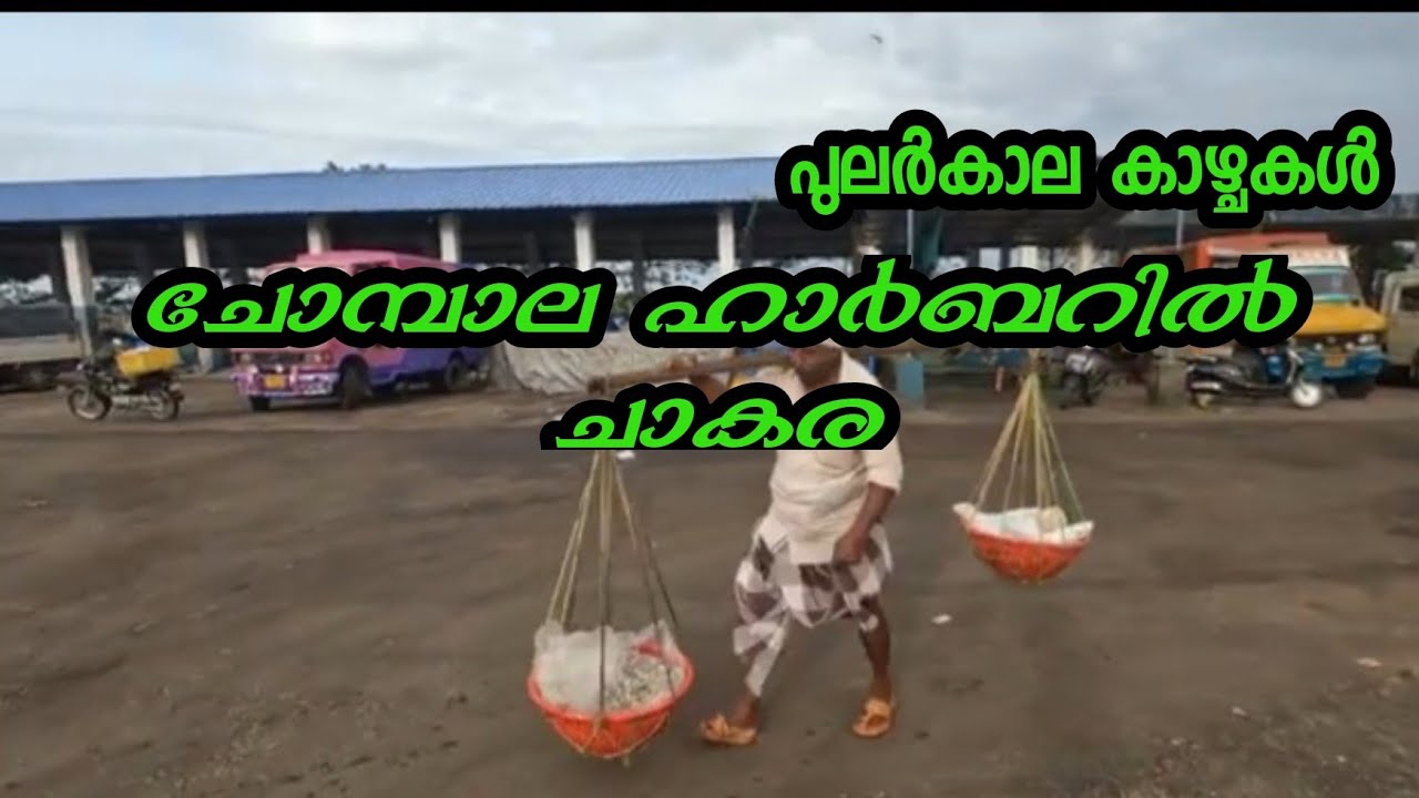 ചോമ്പാൽ ഹാർബർ മീൻചാകര Chombal  fishing Harbour bytravel with momi