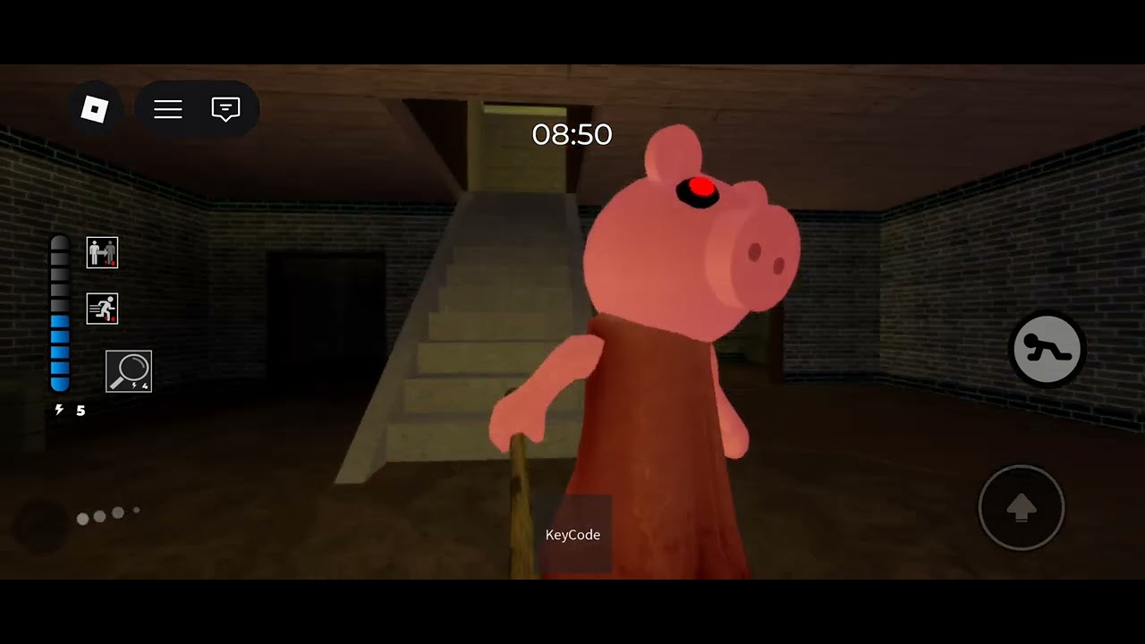 Piggy house speedrun with my friends