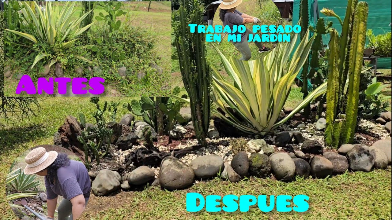 Esta limpieza estuvo salvaje / limpiando en desierto de cactus y me pasó de todo