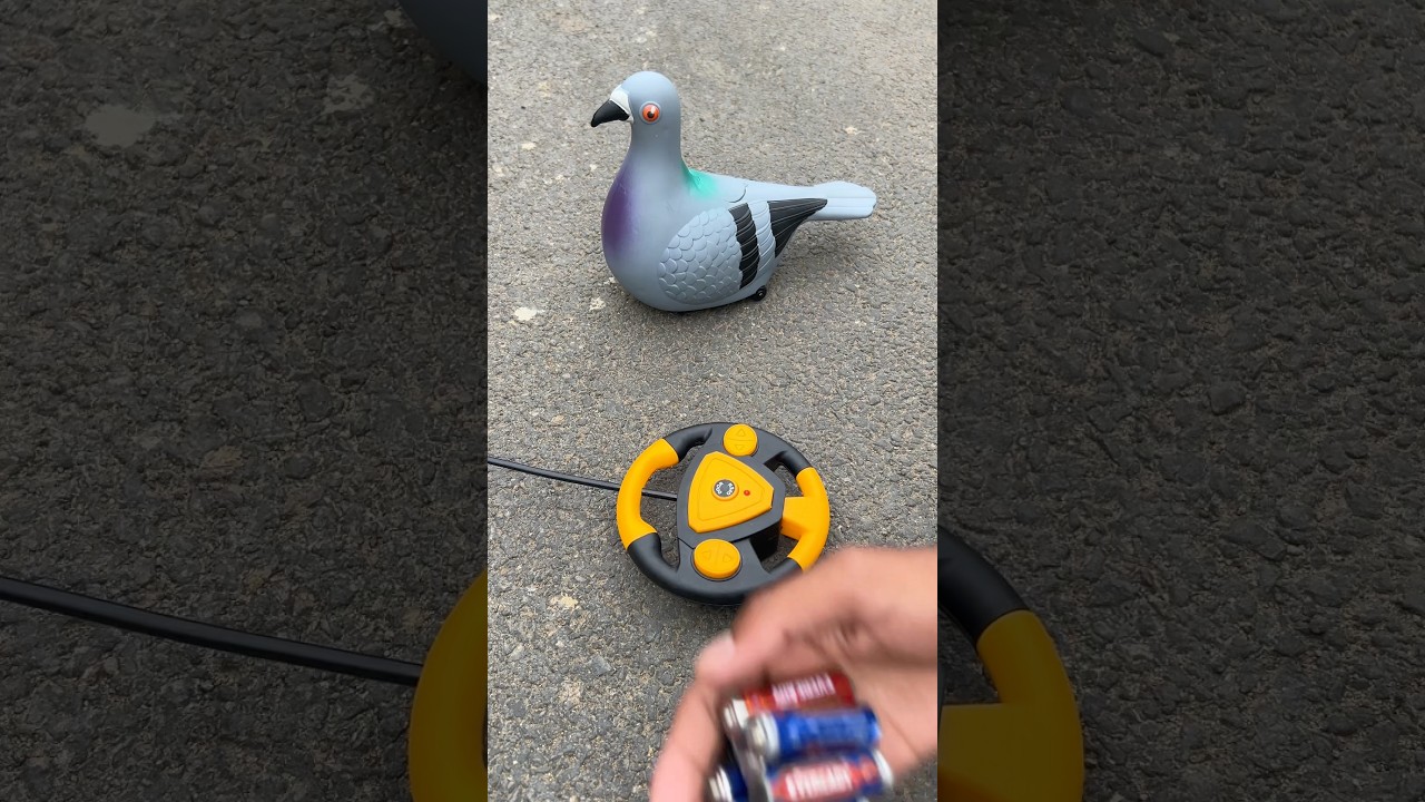 Rc 1 Ta Remote Control Birds Pigeon Testing Dise🥹