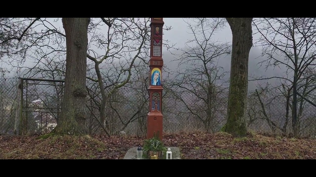 2026 02 22 Babický les   Janáček   V mlhách