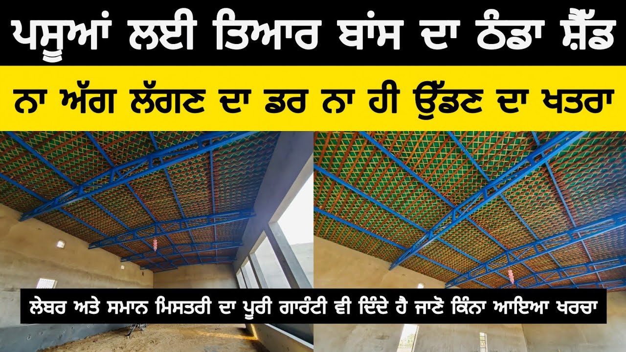 ਪਸੂਆਂ ਲਈ ਤਿਆਰ ਬਾਂਸ ਦਾ ਠੰਡਾ ਸ਼ੈੱਡ 🔥🔥| ਨਾ ਅੱਗ ਲੱਗਣ ਦਾ ਡਰ ਨਾ ਹੀ ਉੱਡਣ ਦਾ ਖਤਰਾ | DAIRY FARM SHED