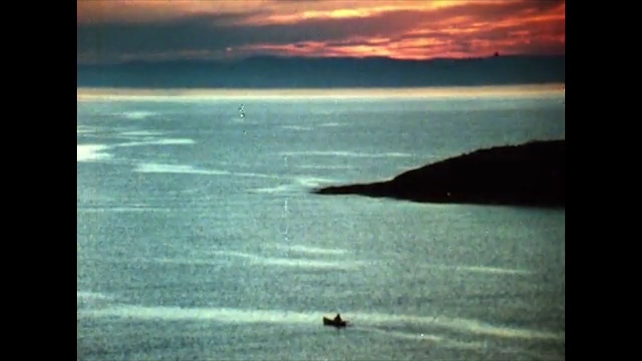 Missikisat - Tiikeri
