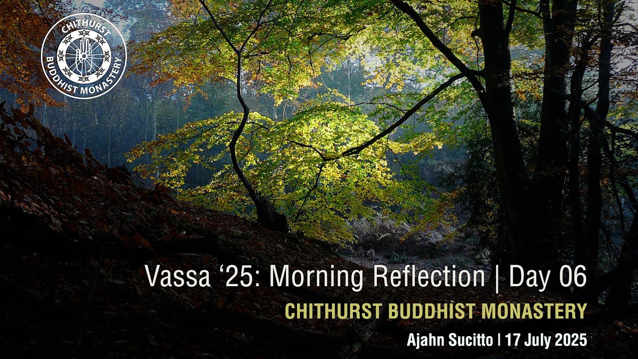 Vassa '25: The roots of practice  | Ajahn Sucitto | 17 Jul '25