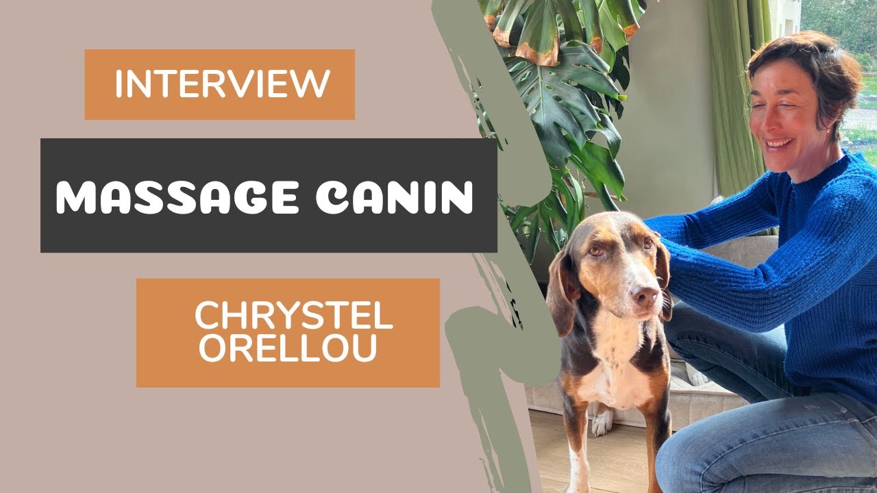 Le Massage Canin avec Chrystel ORELLOU