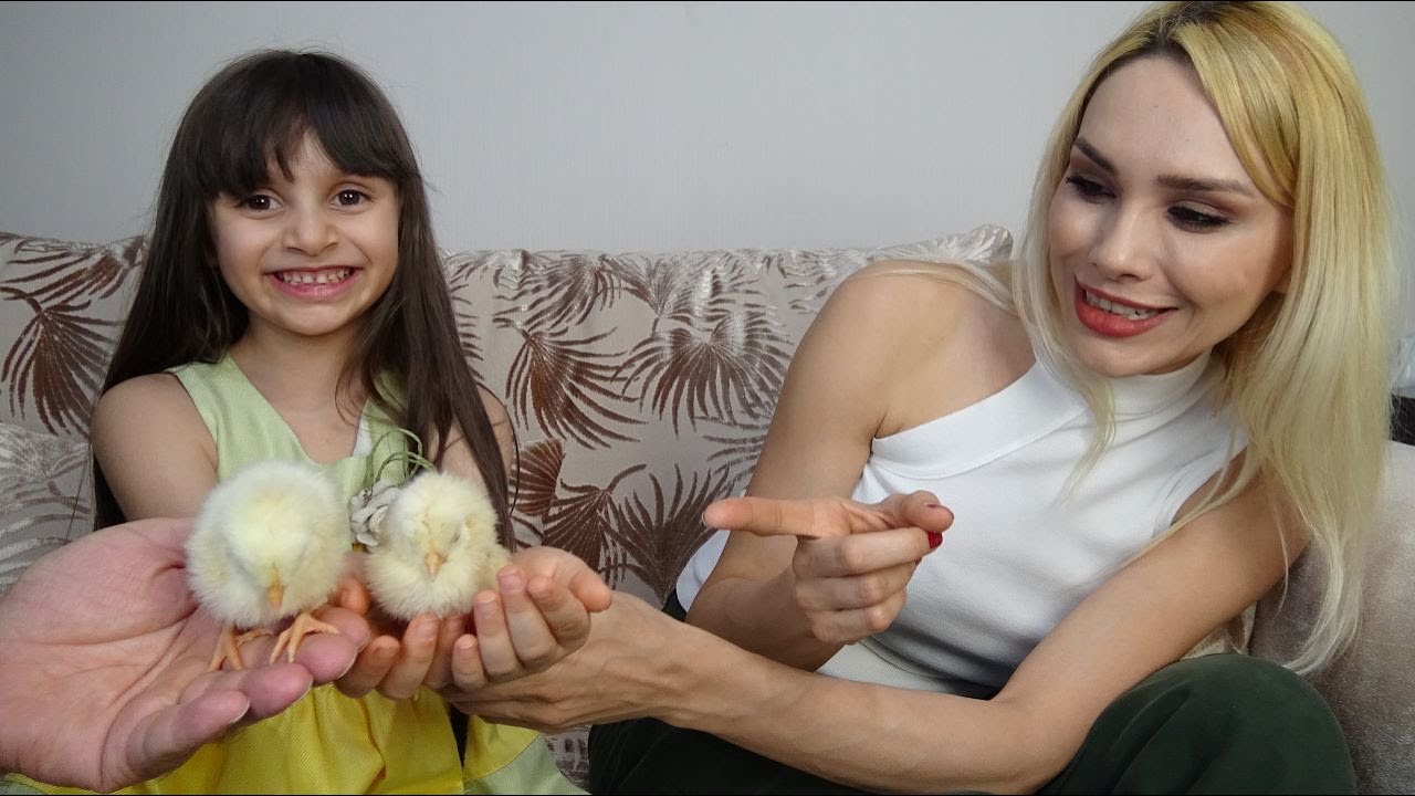 Lina'ya Sürpriz Civcivler! Çok Sevindi! Prenses Lina