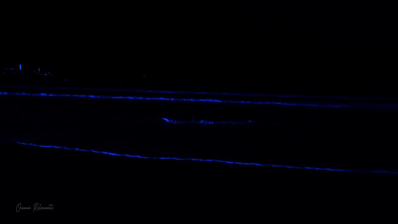 Nighttime Bliss: Relaxing Ocean Sounds at Night for Deep Sleep | Peaceful Melodies 💤