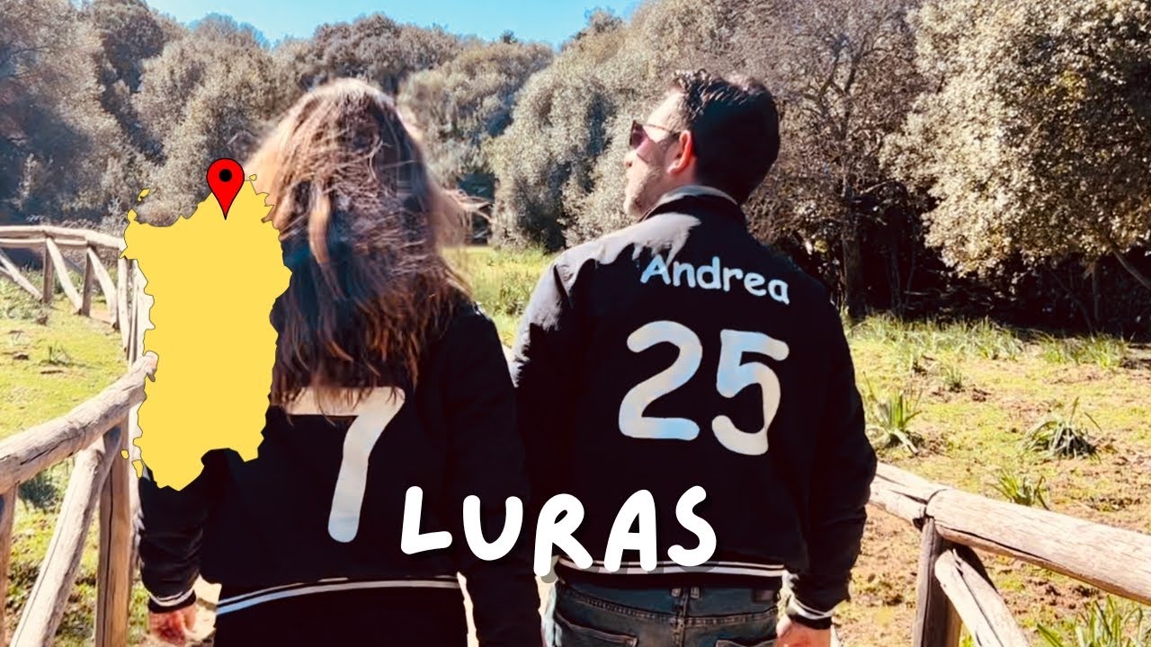 Alla scoperta del L’olivastro millenario di Luras in Sardegna, l’albero più vecchio d’Italia!