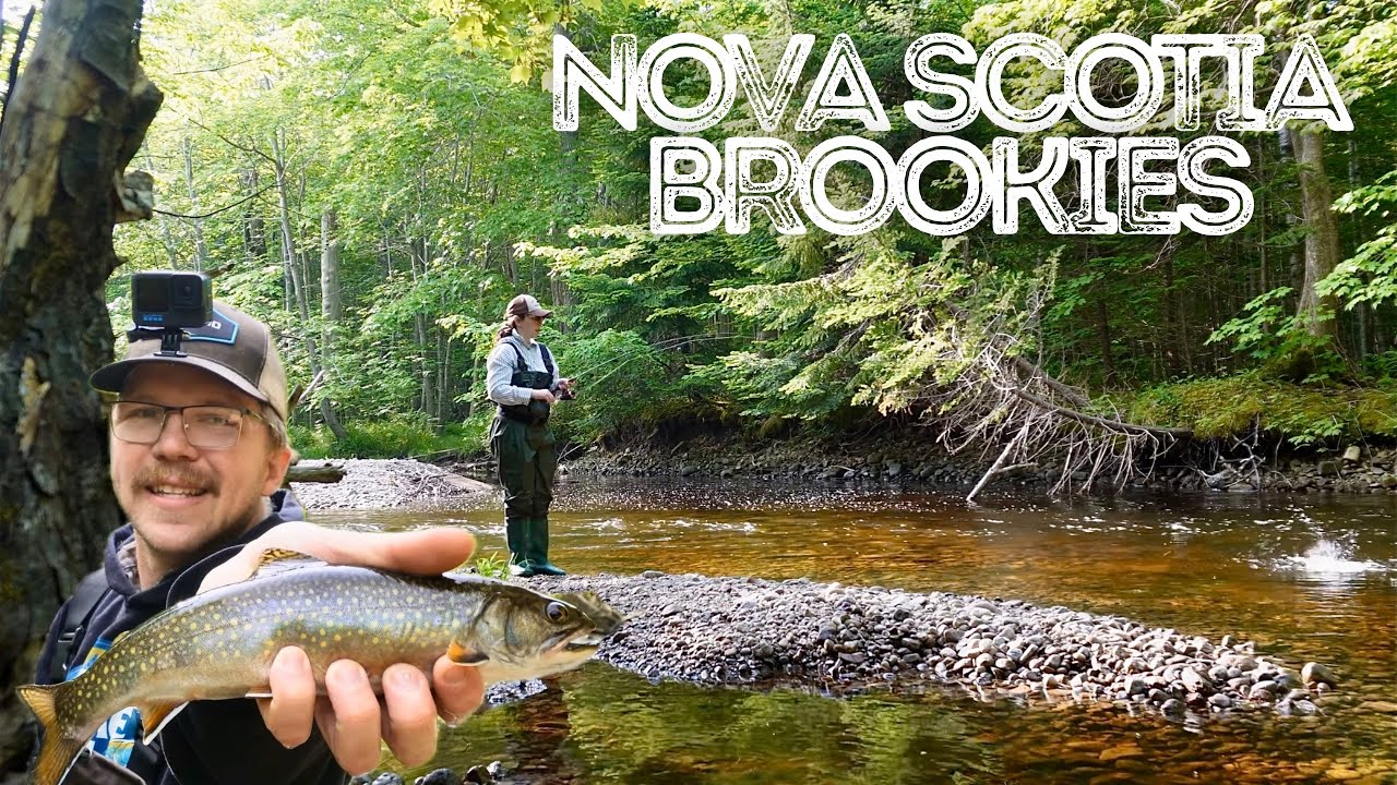 River Fishing Brook Trout in Nova Scotia - June 2025