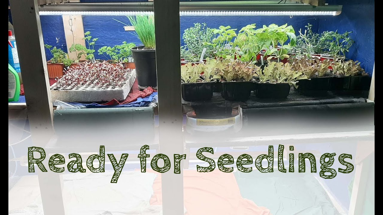 Finishing the Grow Shelf!!!