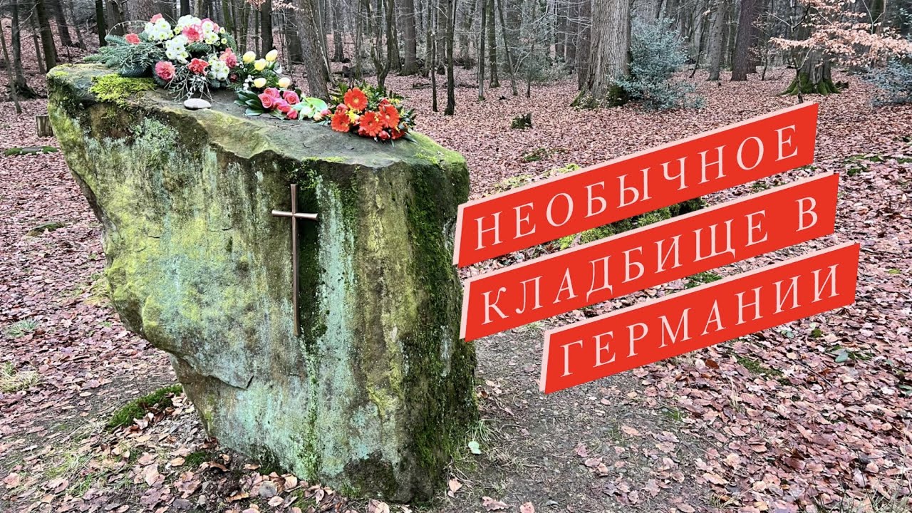 Необычное лесное кладбище в Германии/Кремация/сколько стоят Похороны в лесу/ФридВальд