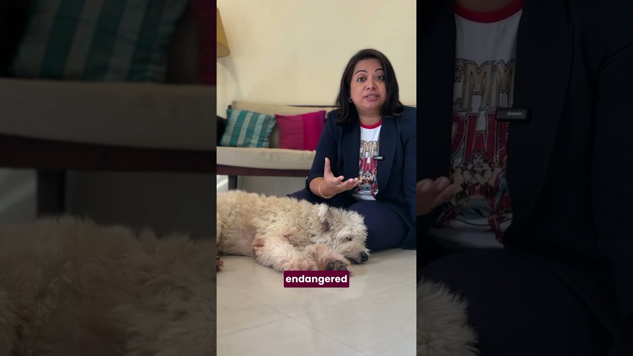 New law about dog bites in India under the changed criminal law the BNS.  #fakenews #dog #IPC #india