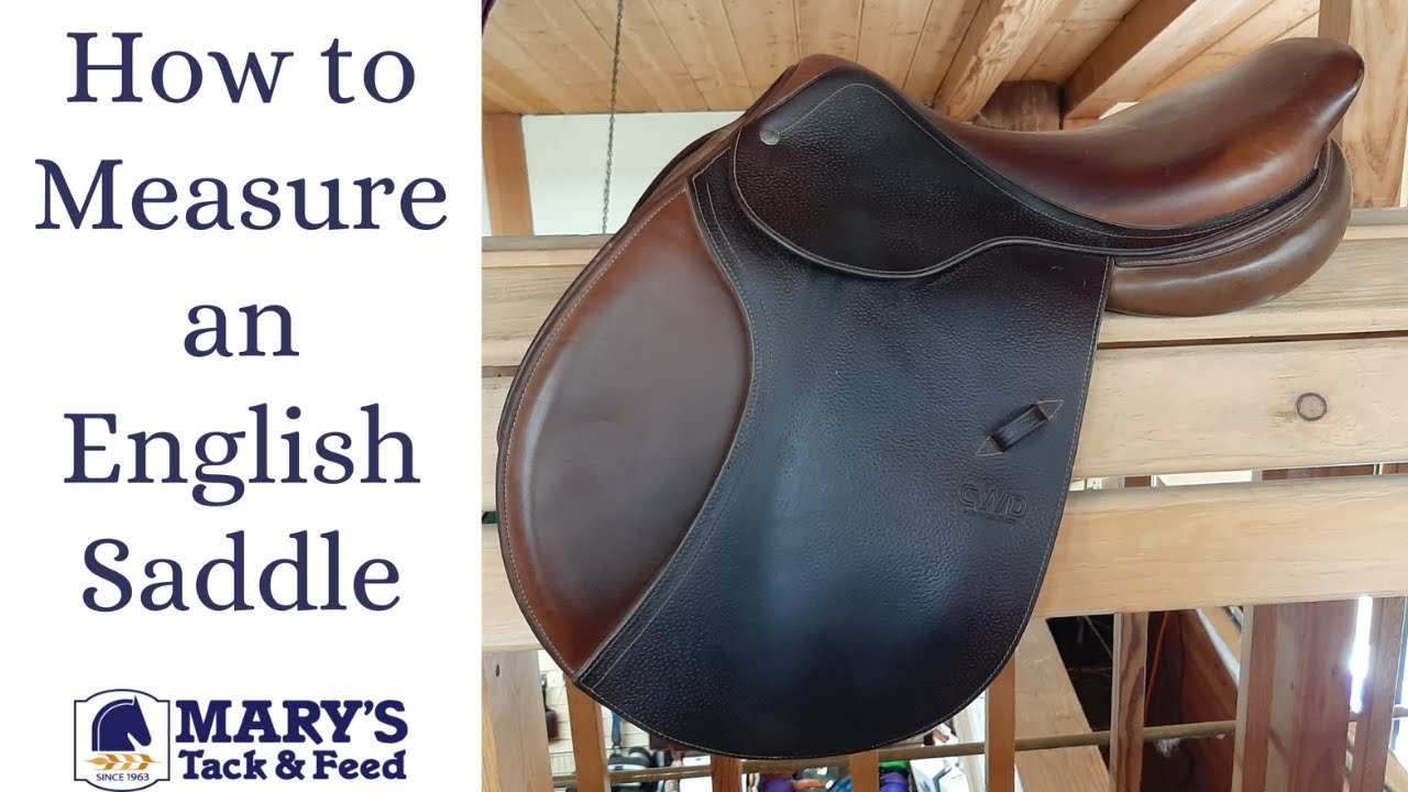 How to Measure an English Saddle